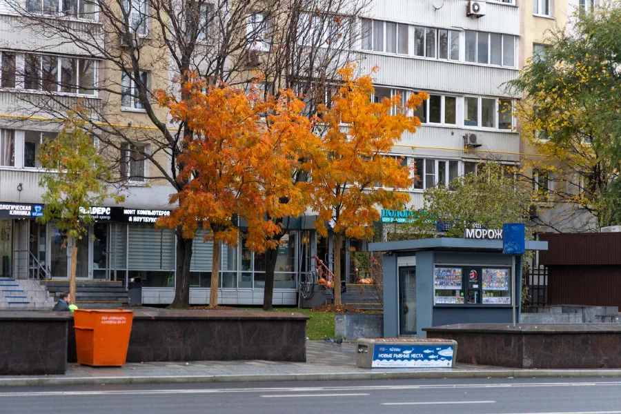 Осенняя улица с ярким клёном на фоне жилого дома и торгового павильона