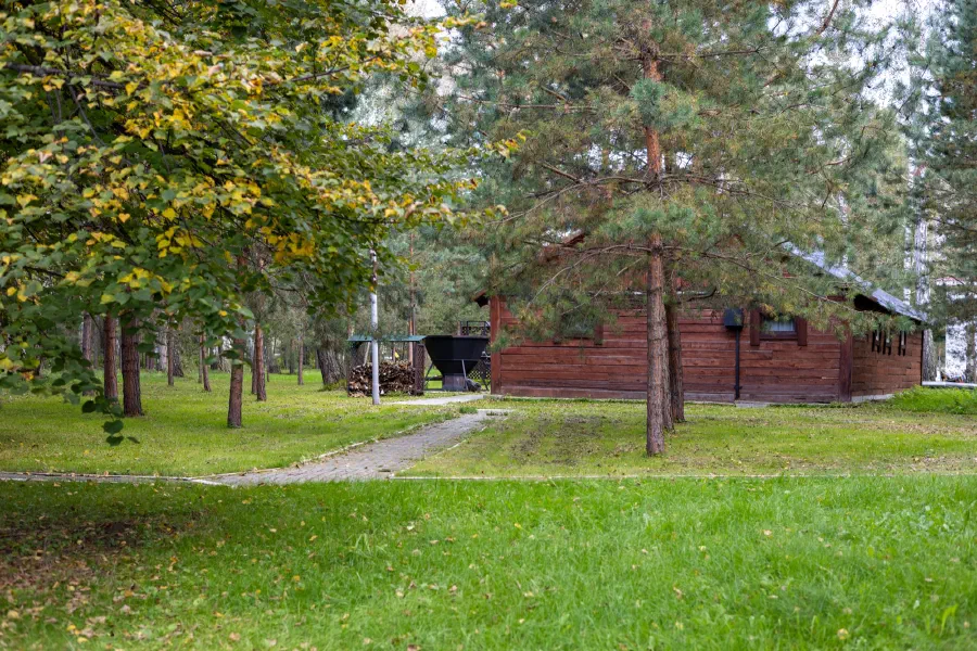 Деревянный домик в сосновом лесу с зеленой лужайкой и тропинкой