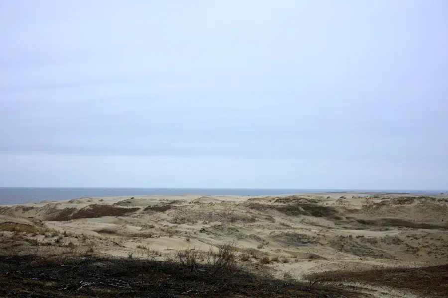 Песчаные дюны на морском побережье в минималистичном пасмурном пейзаже