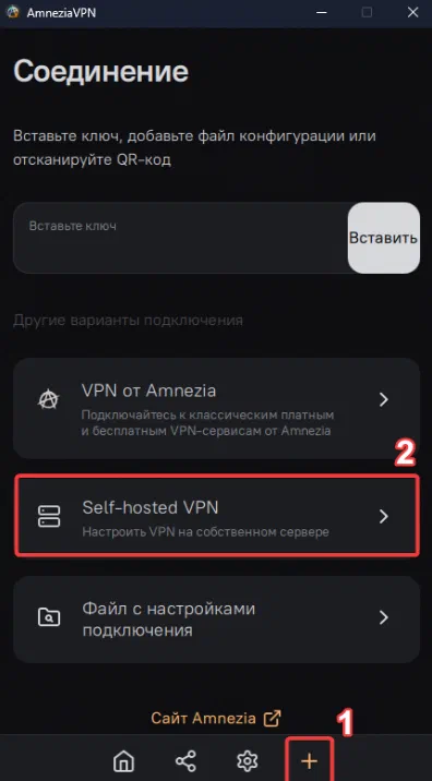 Экран AmneziaVPN с выбором Self-hosted VPN